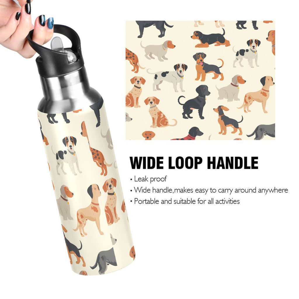 Insulated Stainless Steel Water Bottle with Straw Lid, 20 oz R776424