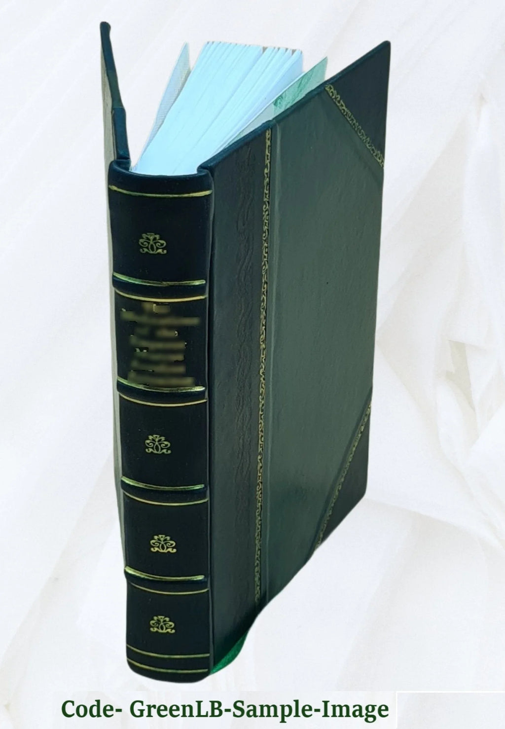 The Grand Mademoiselle: from the memoirs of Charles-Alexandre, comte de Lannoy, premier écuyer to the king, Louis XIV / by James Eugene Farmer. 1899 [Leather Bound] G317460