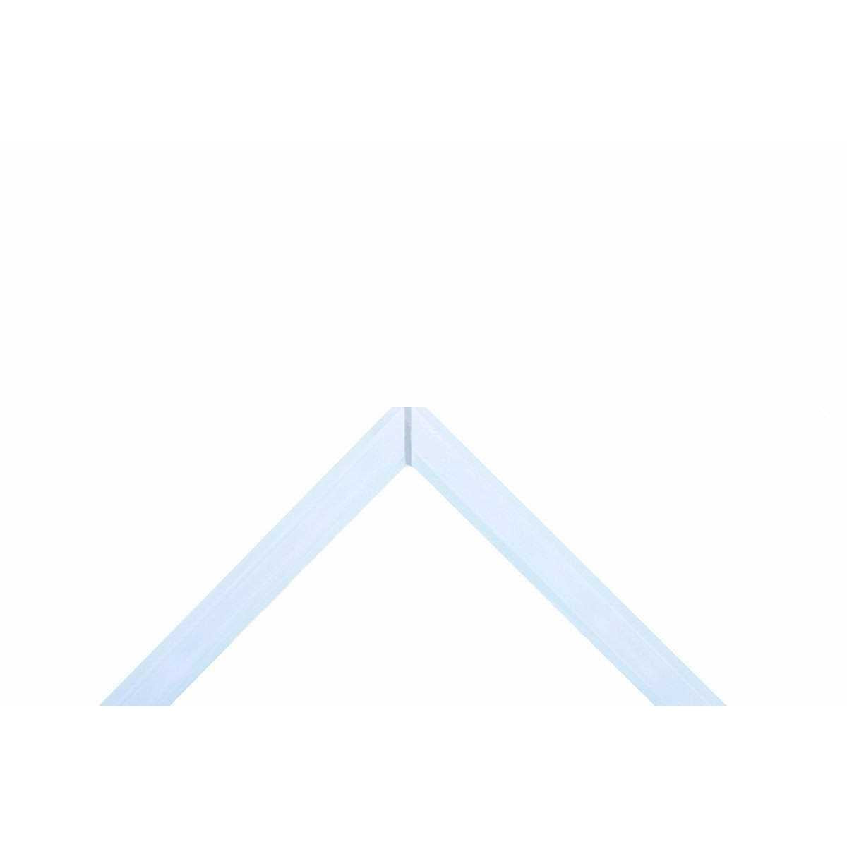 Rimless Aquarium 9 gallons F946886