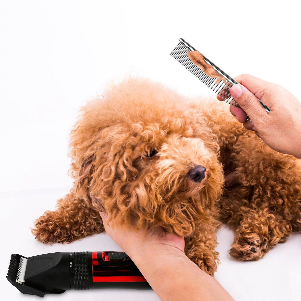 Pet Grooming Kit Dog Cat Trimmer Hair Clippers Shaver K711