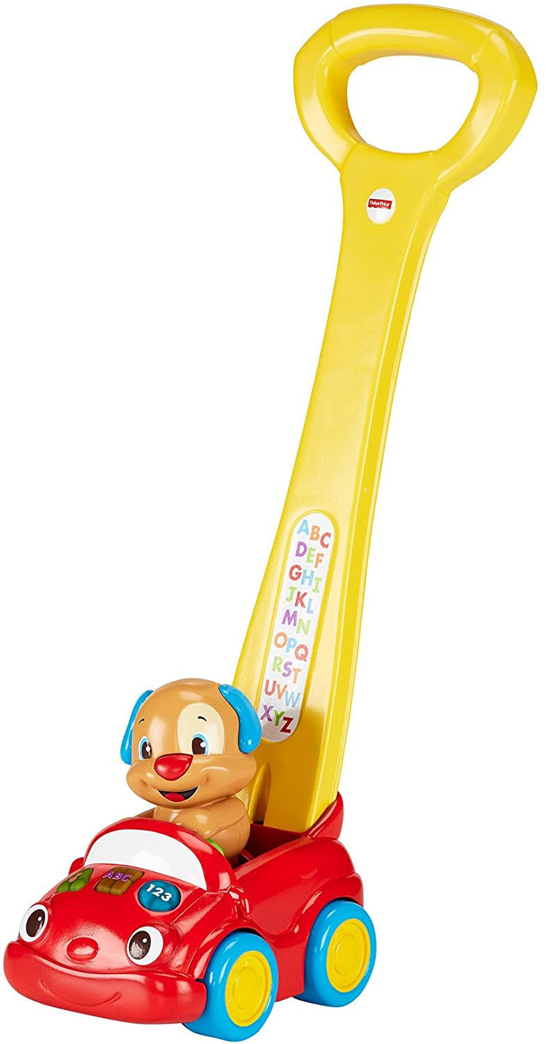Interactive Dog Car M79861
