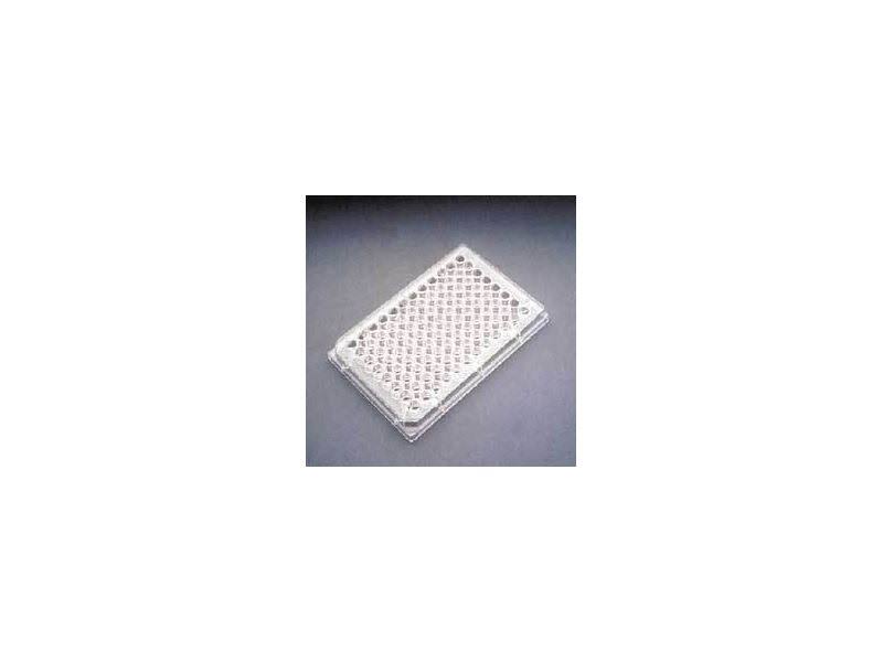96-Well Assay Plates P664860