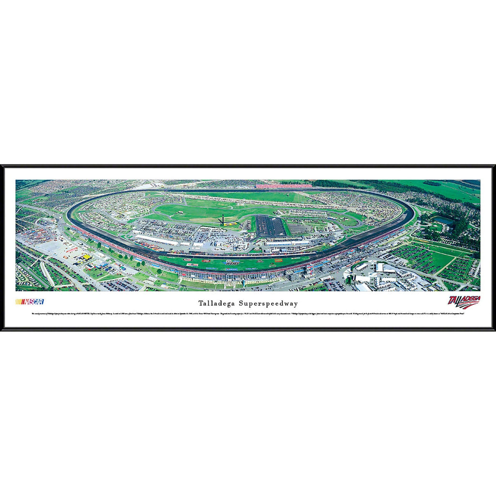 NASCAR Print D194