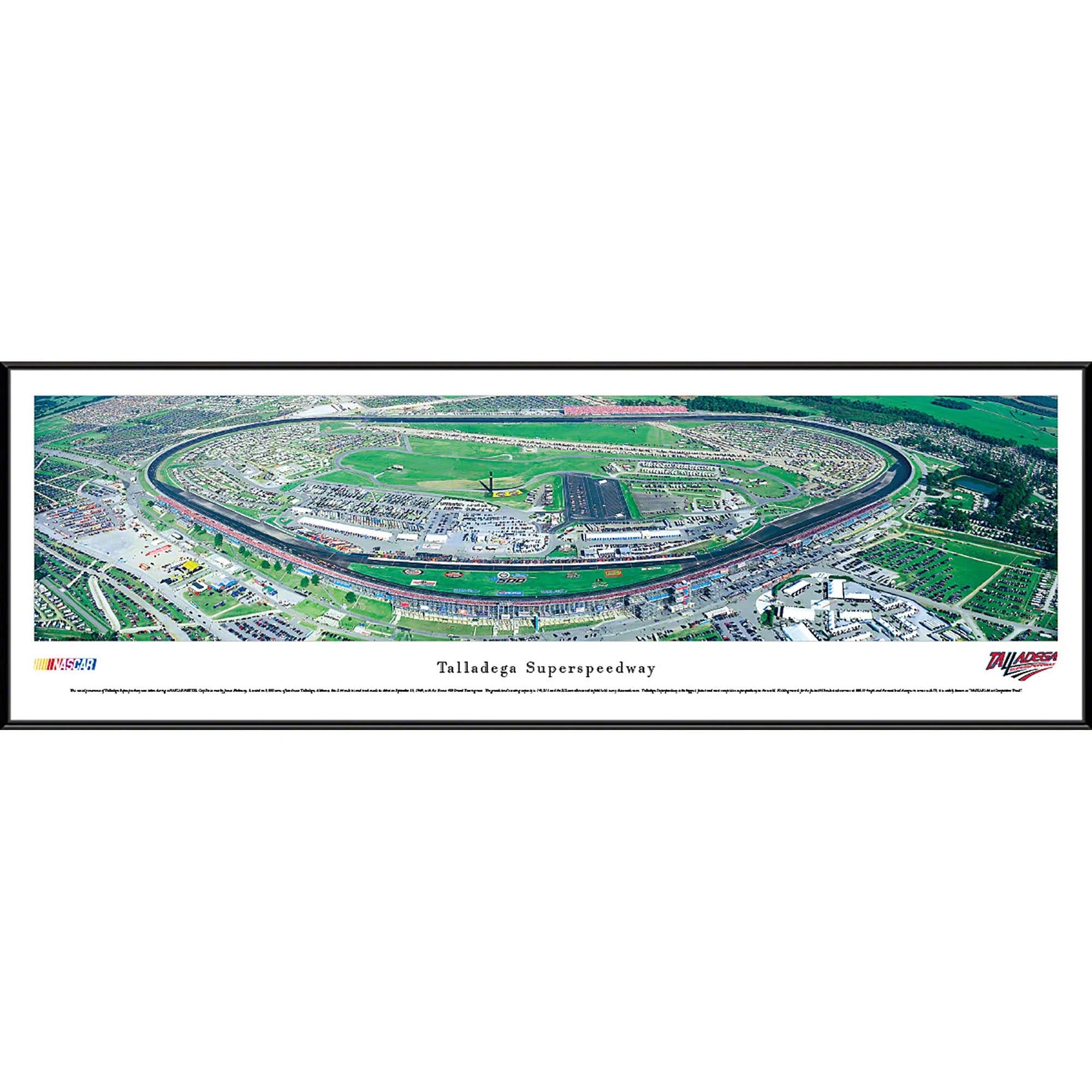 NASCAR Print D194