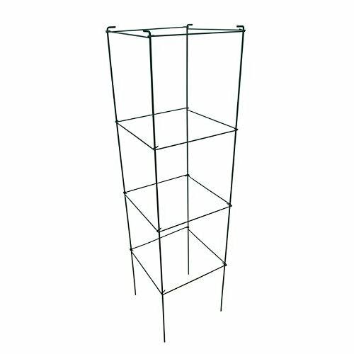 Green Square Folding Tomato Cage Plant Support Tower 12 inch by 46 inch, Pack of 5 Sets V194418