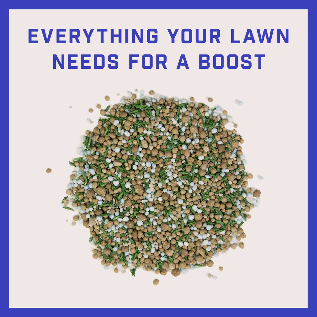 Tall Fescue Grass Seed and Fertilizer Mix, 12 lb. A37026