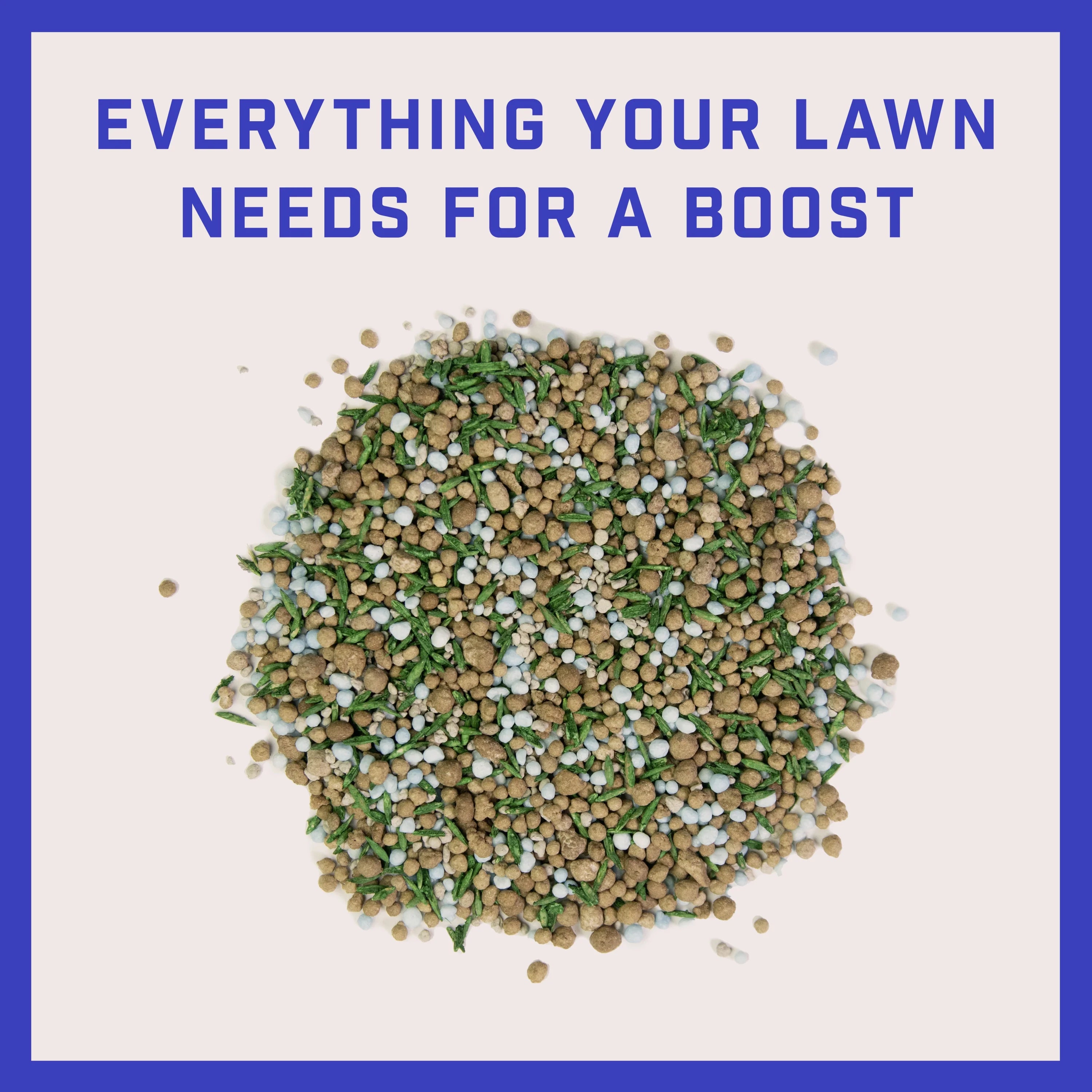 Tall Fescue Grass Seed and Fertilizer Mix, 12 lb. A37026