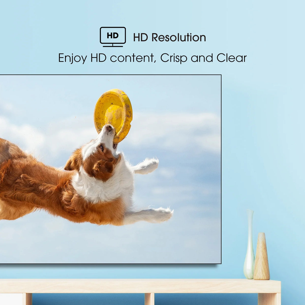 40" 1080p FHD LED LCD Roku Smart TV Z520