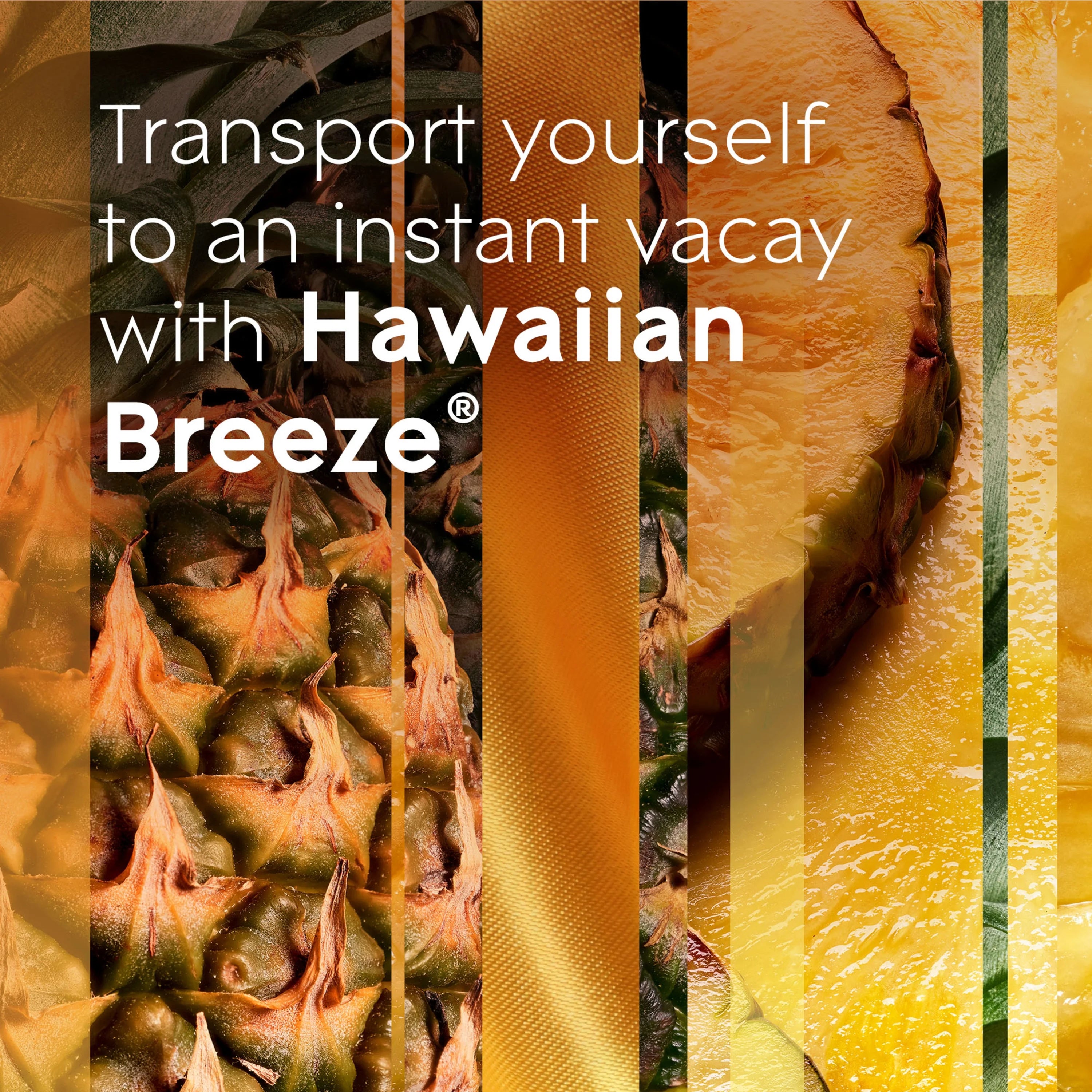 Hawaiian Breeze Air Freshener Refills, 0.67 oz, 5 Count C532061