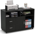 White 2 Drawer Wood File Cabinet with Locks and Wheels G985638
