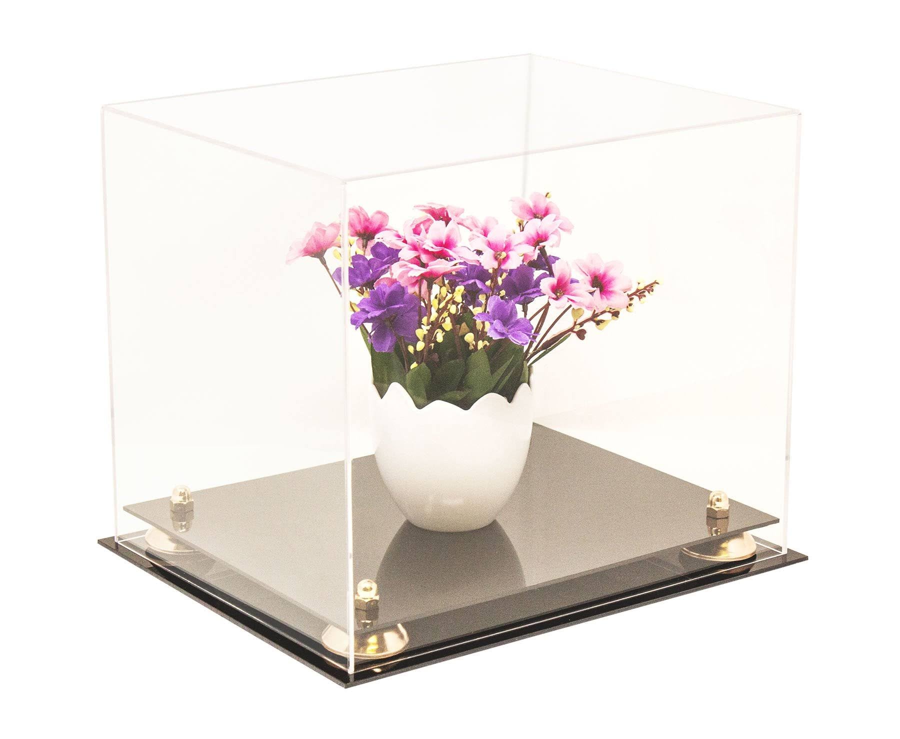 Clear Acrylic Display Case with Black Risers O666