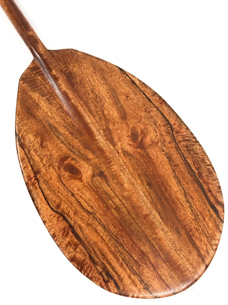 Decorative Paddle 60" W557