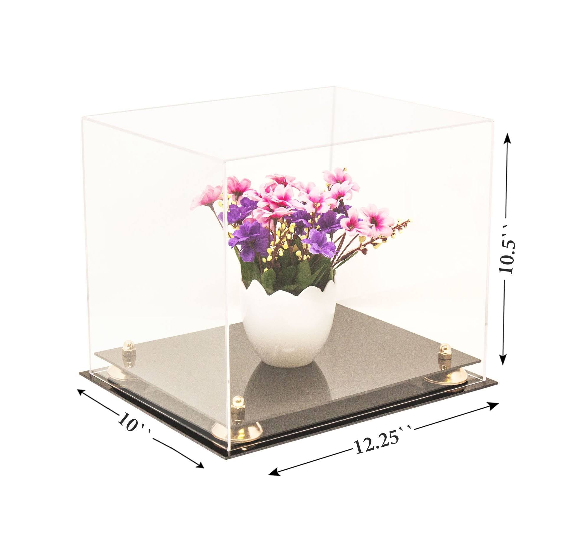 Clear Acrylic Display Case with Black Risers O666