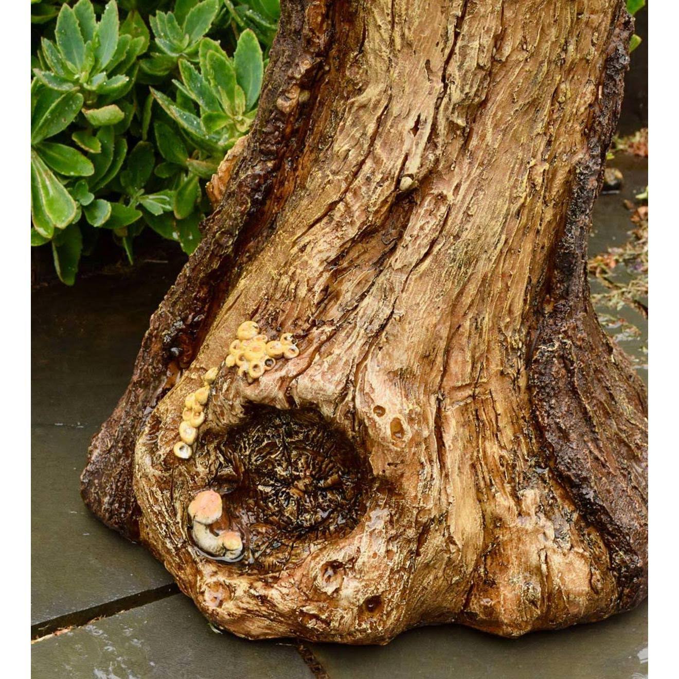 Succulent Birdbath X22088