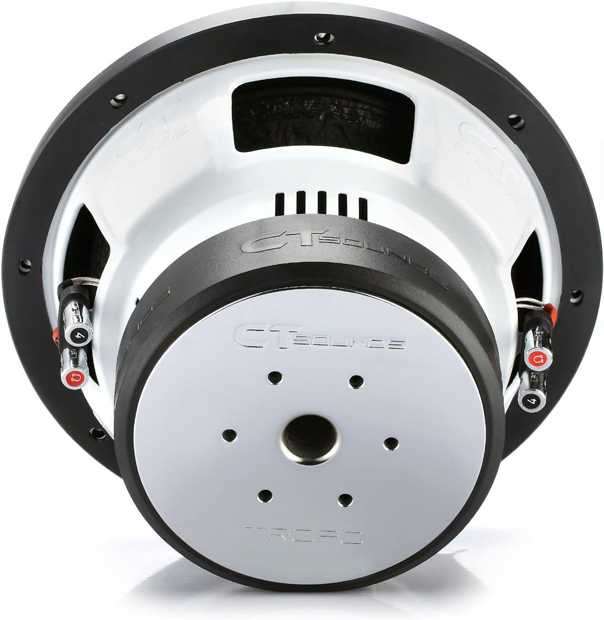 10 Inch Car Subwoofer Dual 2 Ohm U589