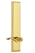Polished Brass Tall Plate Lever J66000