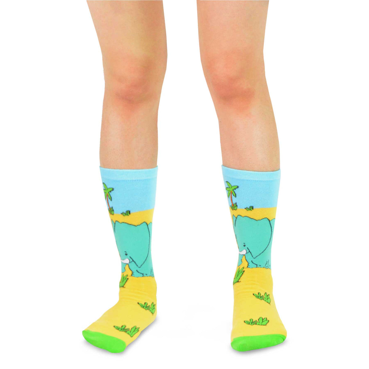6 Pair Cartoon Animal Crew Socks F457