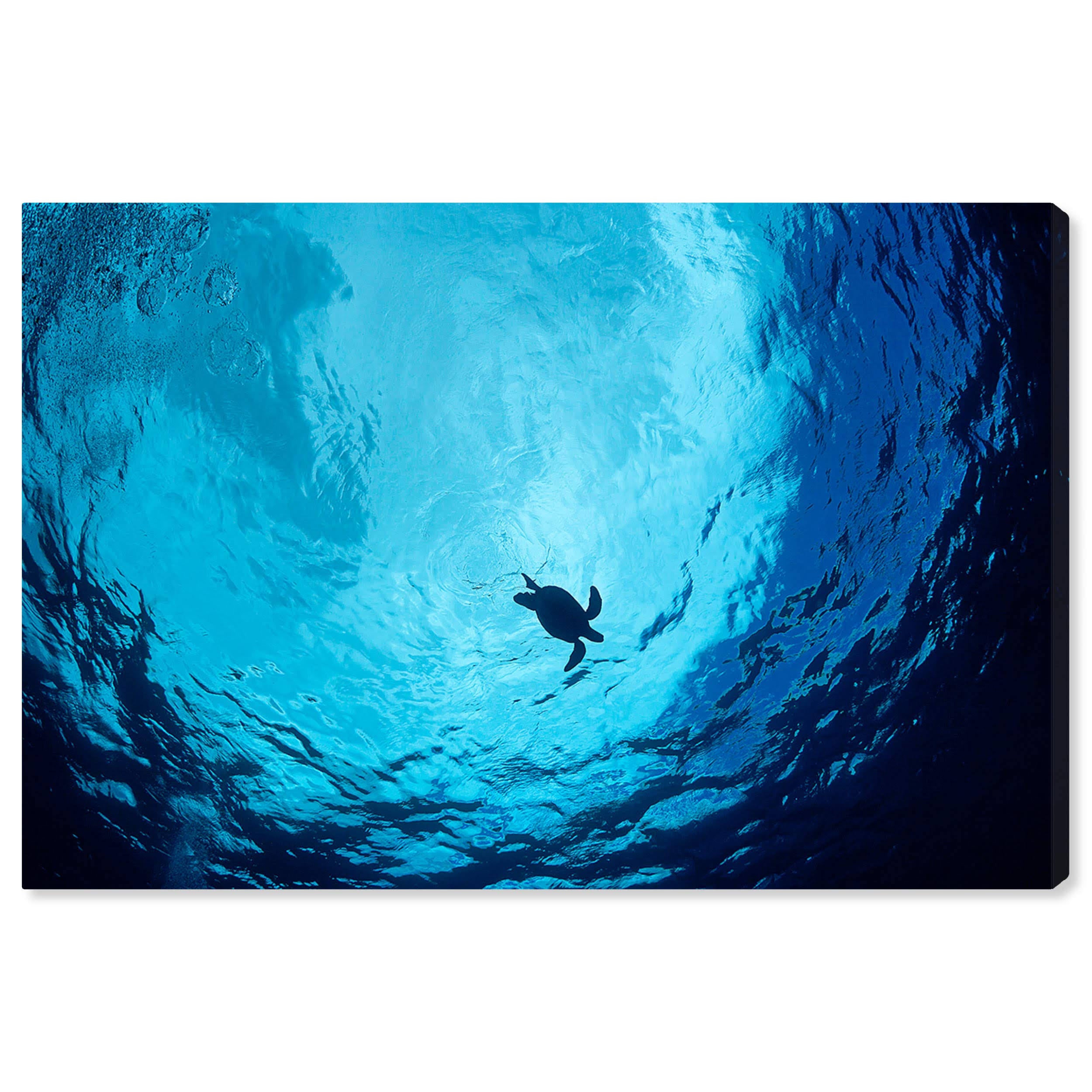 Blue Green Sea Turtle Canvas Art I6355