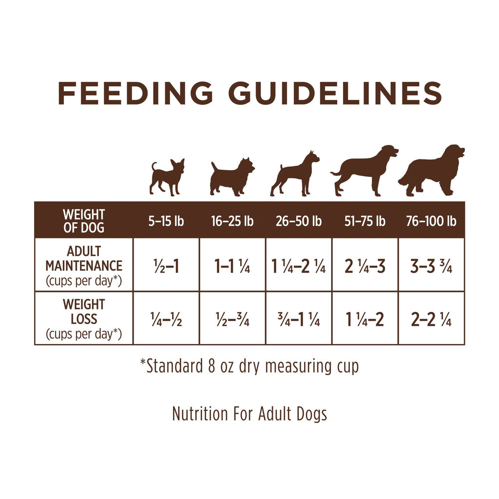 Grain-Free Dry Dog Food - 20 lb J906618