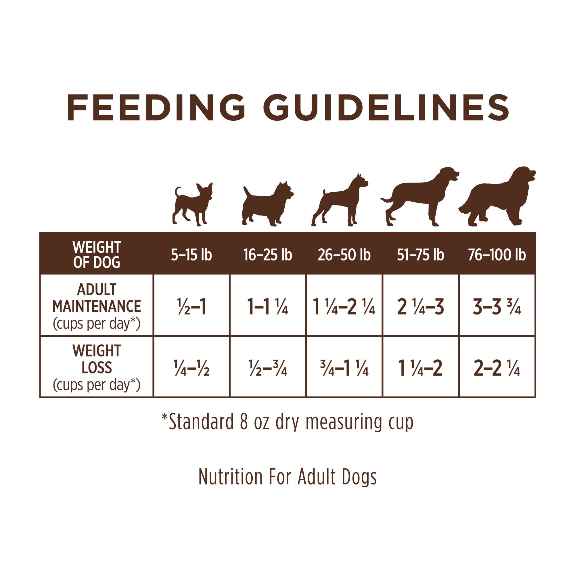 Grain-Free Dry Dog Food - 20 lb J906618