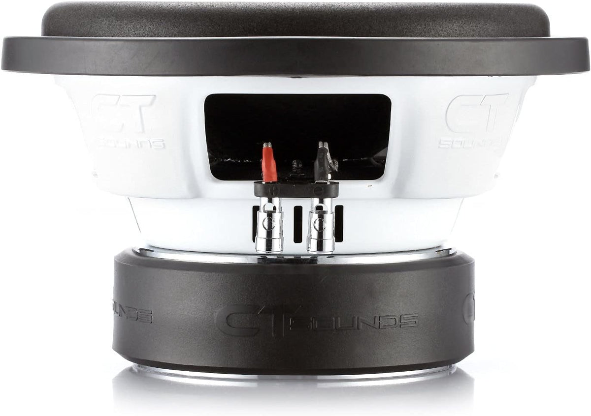 10 Inch Car Subwoofer Dual 2 Ohm U589