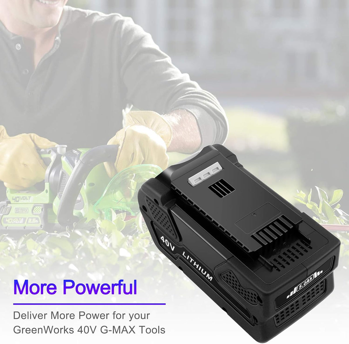 40V Lithium Battery Pack of 2 Z747816