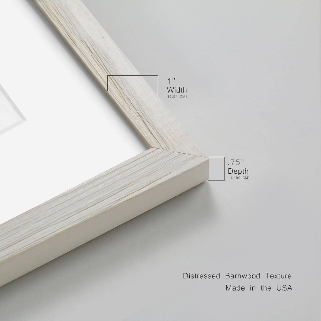 Framed Print - 23X32 - Walnut F2910