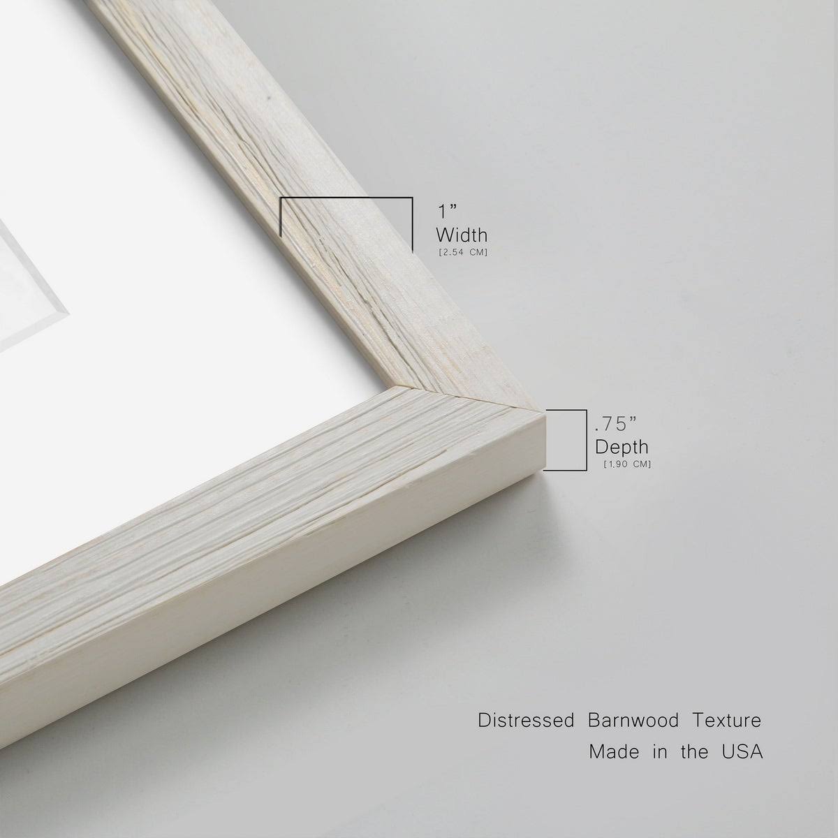 Framed Print - 23X32 - Walnut F2910