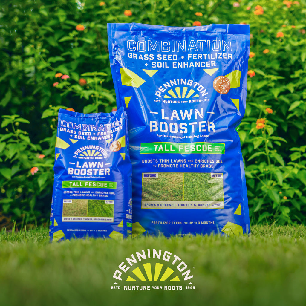 Tall Fescue Grass Seed and Fertilizer Mix, 12 lb. A37026