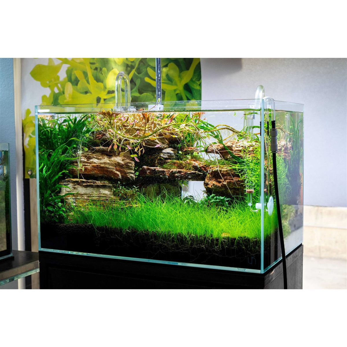 Rimless Aquarium 9 gallons F946886