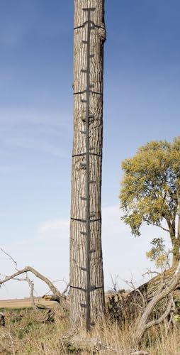 20ft Reach Climbing System I599