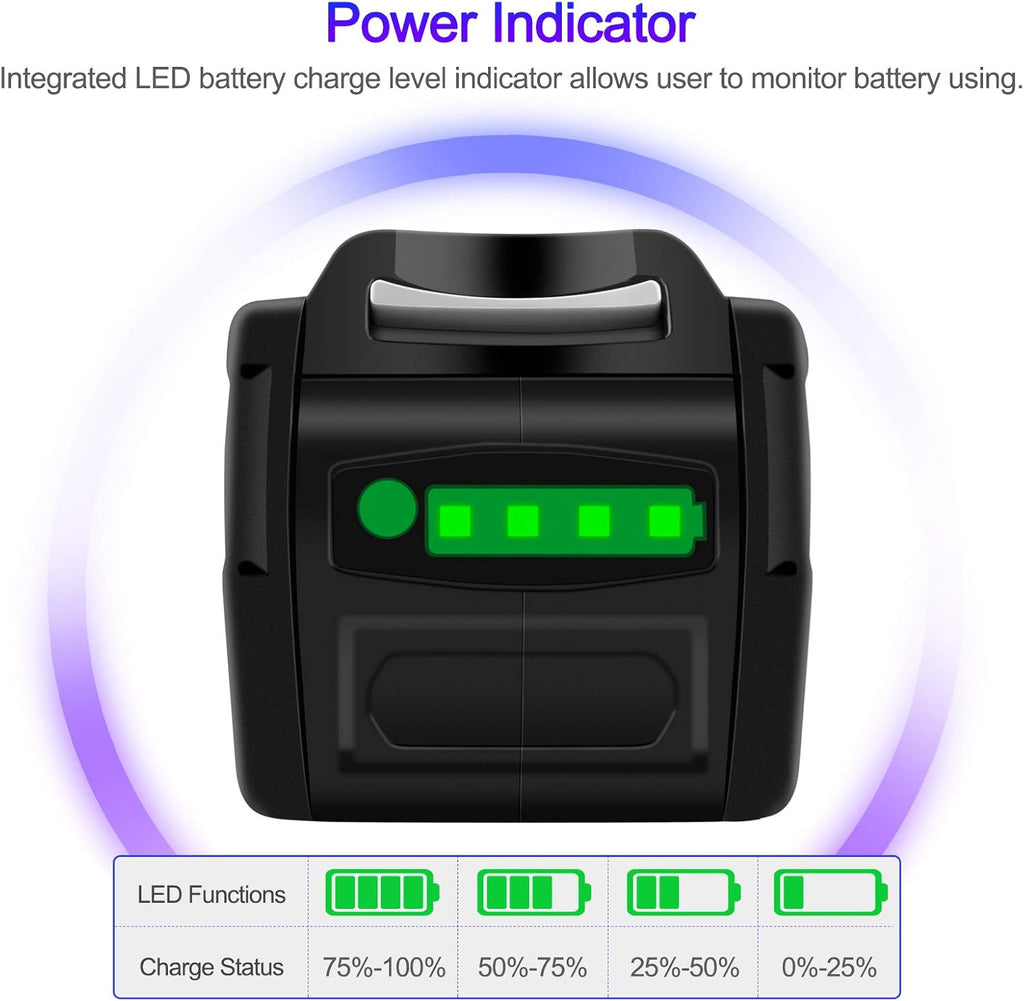 40V Lithium Battery Pack of 2 Z747816