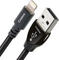 Carbon USB A-Lightning 0.75 M Cable V775591