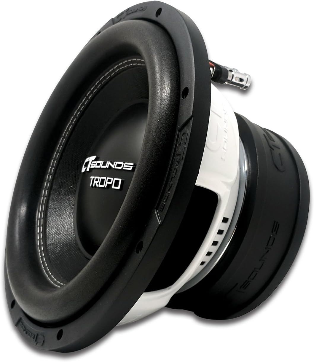 10 Inch Car Subwoofer Dual 2 Ohm U589