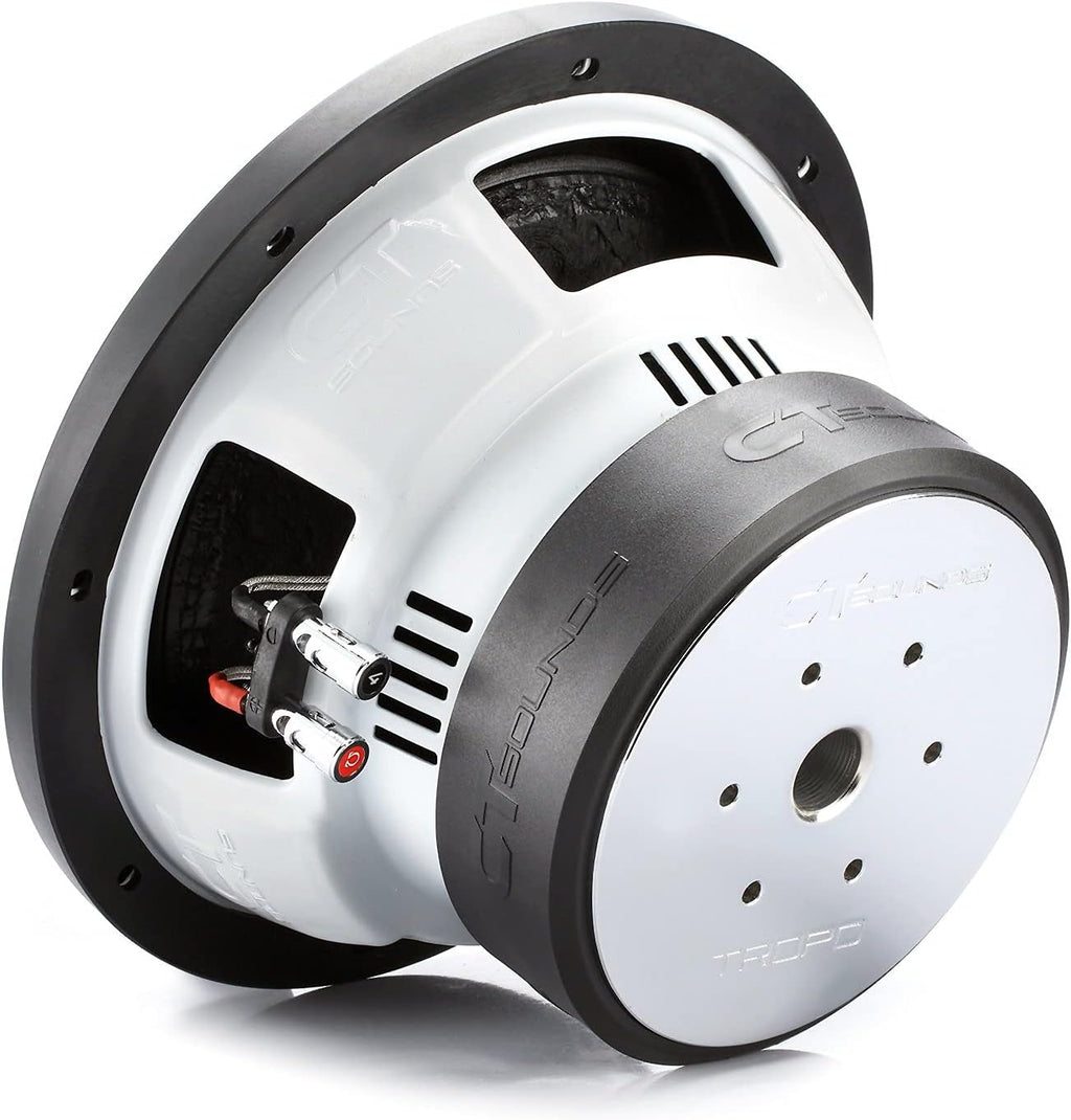10 Inch Car Subwoofer Dual 2 Ohm U589