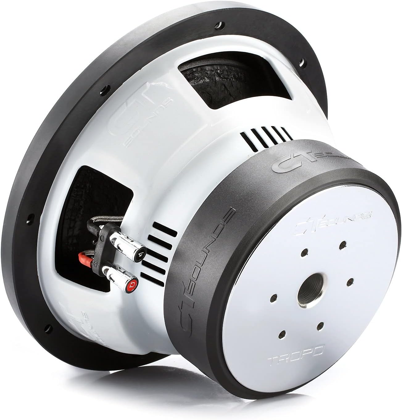 10 Inch Car Subwoofer Dual 2 Ohm U589