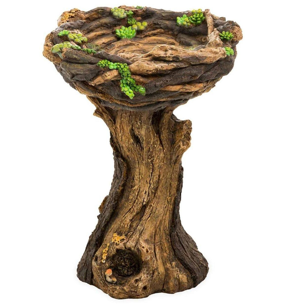 Succulent Birdbath X22088