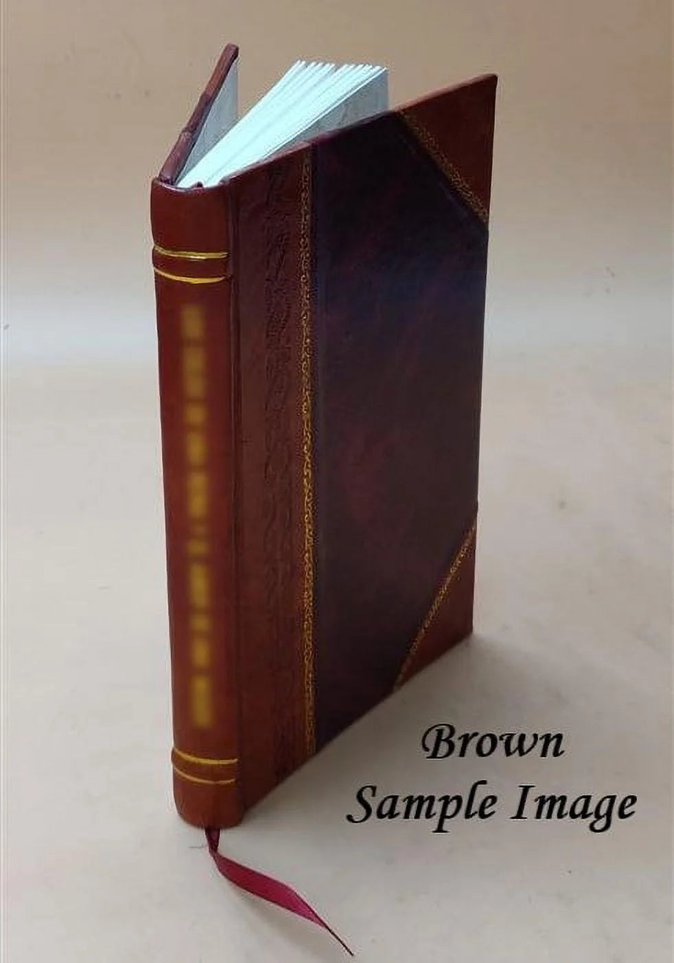 The solo singer's vade mecum 1920 Leather Bound W475463