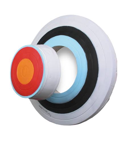 3-D Foam Archery Shooting Target X27248