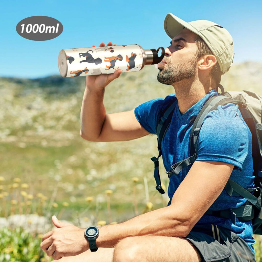 Insulated Stainless Steel Water Bottle with Straw Lid, 20 oz R776424