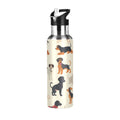 Insulated Stainless Steel Water Bottle with Straw Lid, 20 oz R776424