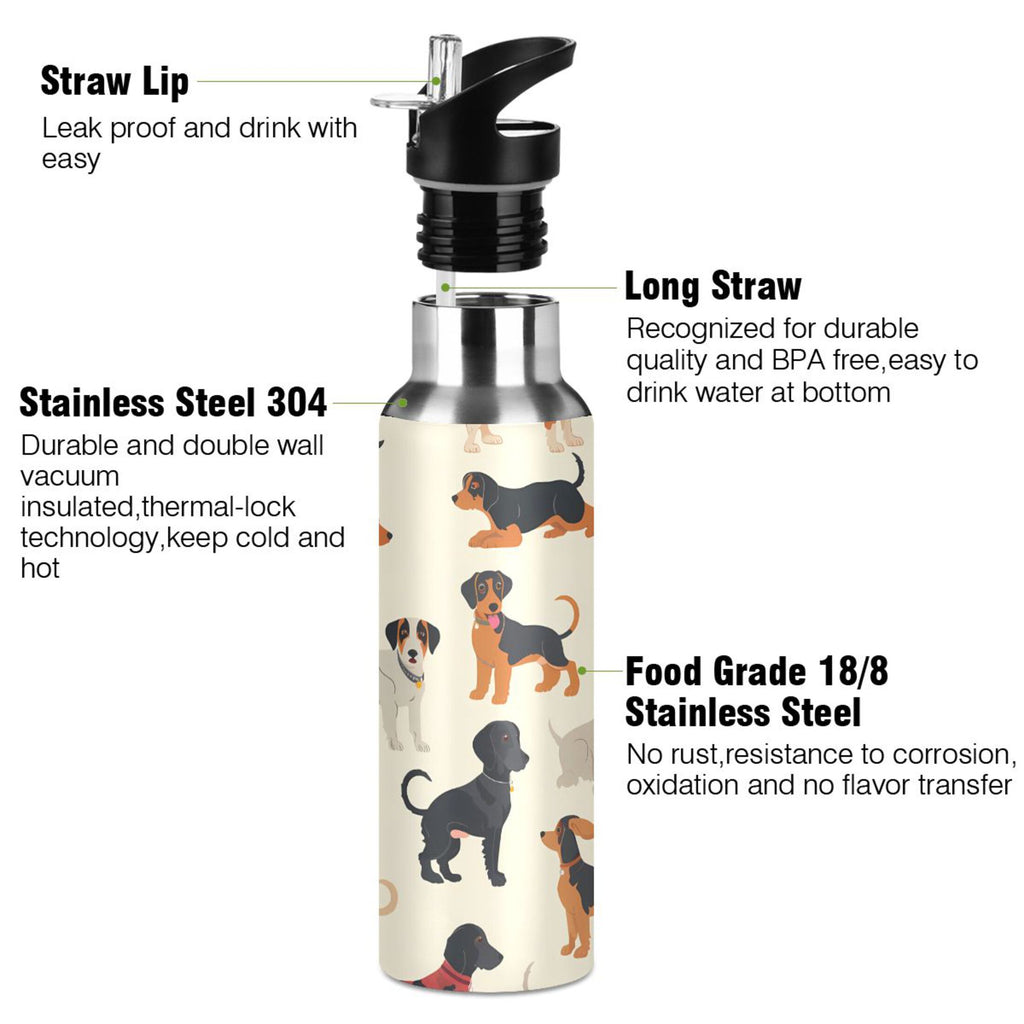 Insulated Stainless Steel Water Bottle with Straw Lid, 20 oz R776424