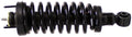 Suspension Strut and Coil Spring Assembly B13123