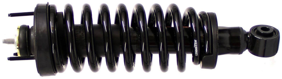 Suspension Strut and Coil Spring Assembly B13123