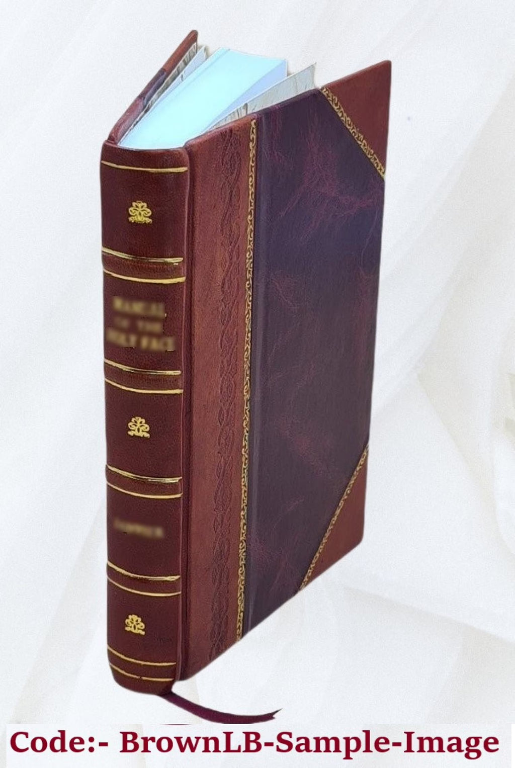 Histoire de la Révolution française, Volume v.1 W27361