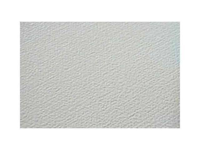 Projection Screen V191765