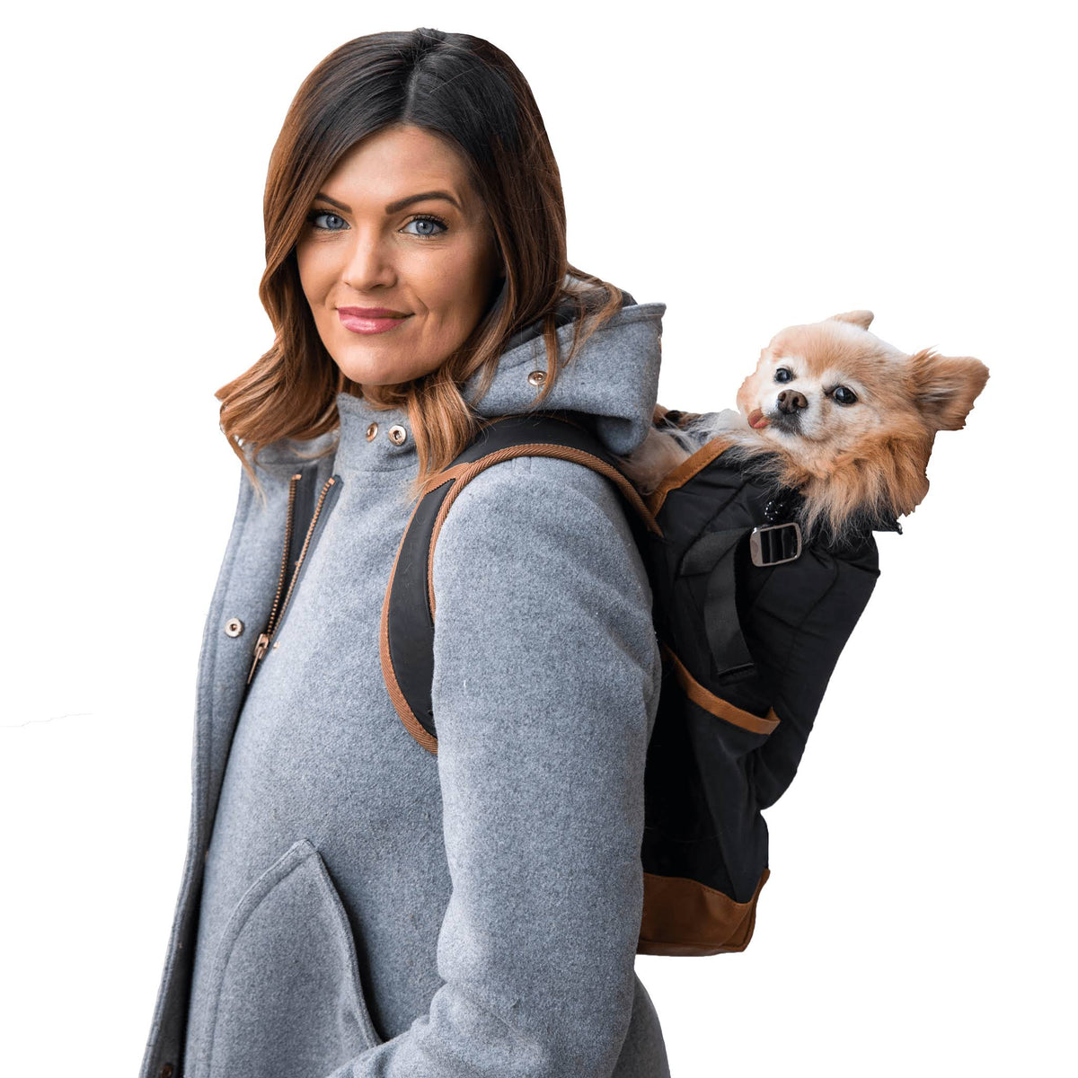 K9 Sport Sack Urban 2 Small / Black E652