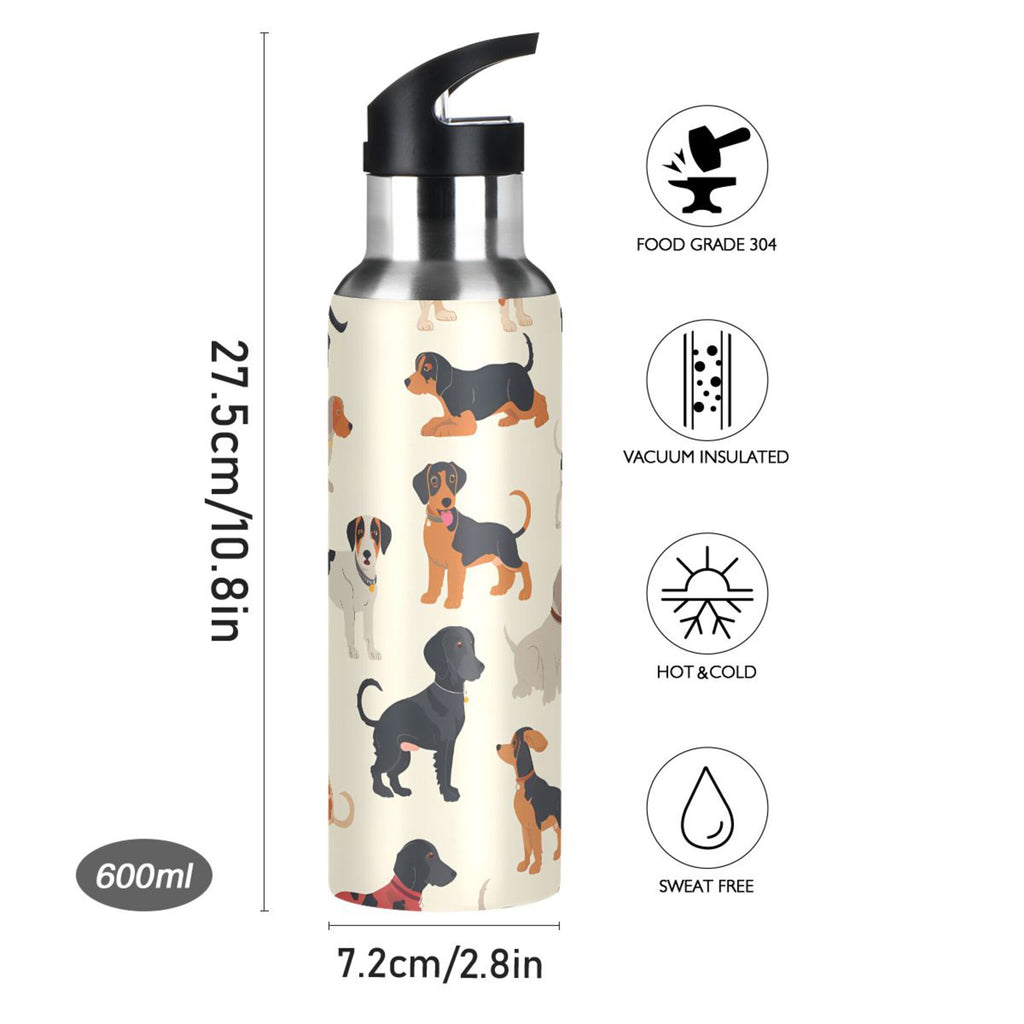 Insulated Stainless Steel Water Bottle with Straw Lid, 20 oz R776424