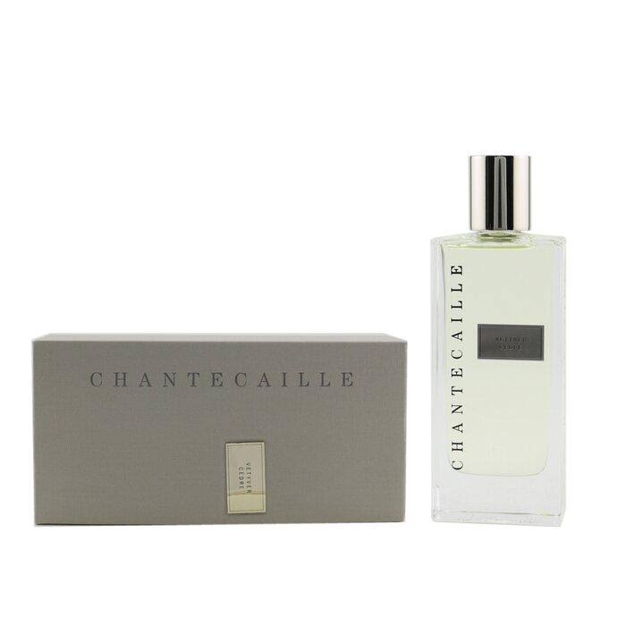 Vetyver Cedre Parfum Pour Homme O710570