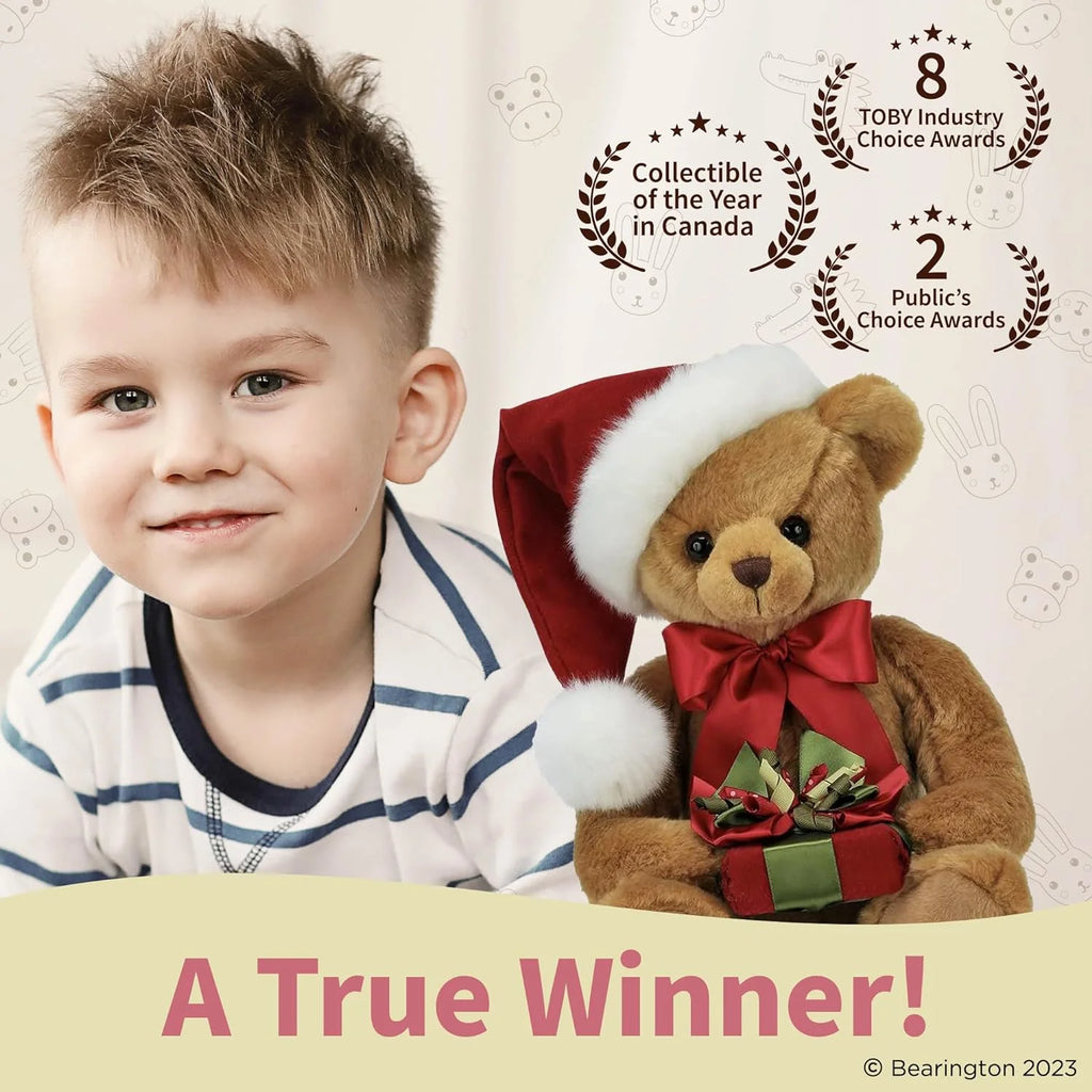 Santa Teddy Bear N507871
